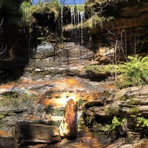 Meet your Posher, Sophie